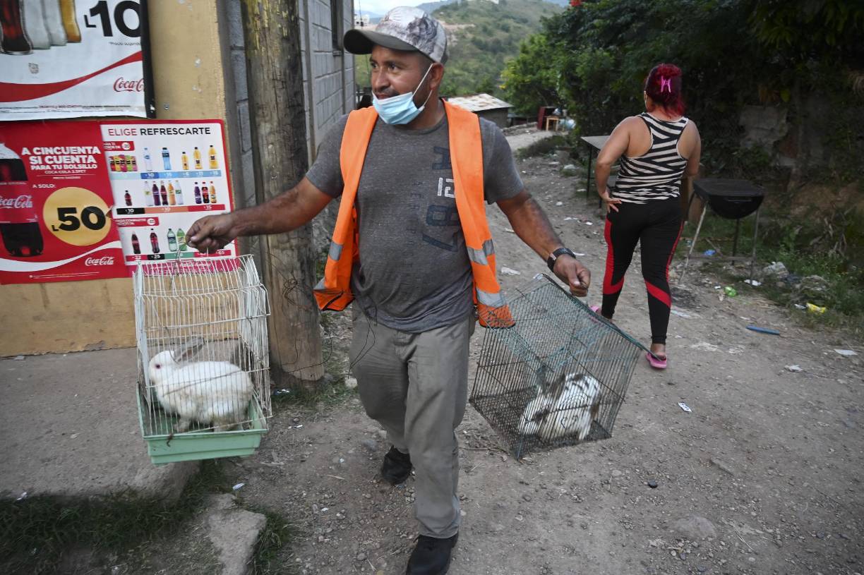 En los momentos que las veinte familias desalojaban las casas que construyeron de lámina de zinc, madera y algunas de material, miembros de la Policía Nacional y Policía Militar del Orden Público (PMOP) daban seguridad en los callejones que conectan el sector 2 de la conflictiva colonia con el sector de la cancha de fútbol. El desalojo de las familias por parte del grupo criminal que controla este sector de la capital causa indignación entre la población. 