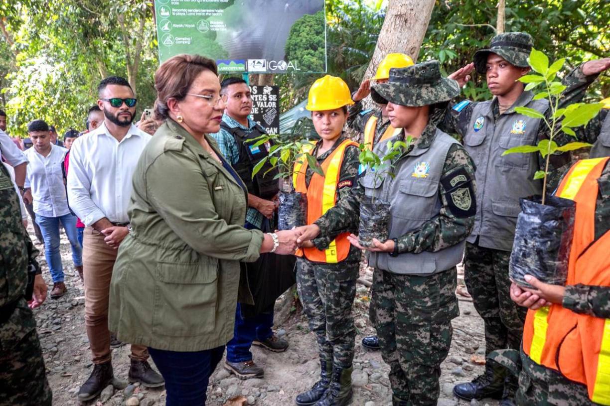 El pasado 22 de mayo, Castro declaró el estado de emergencia ambiental de los bosques de Honduras, la defensa de las áreas protegidas y las zonas productores de agua.