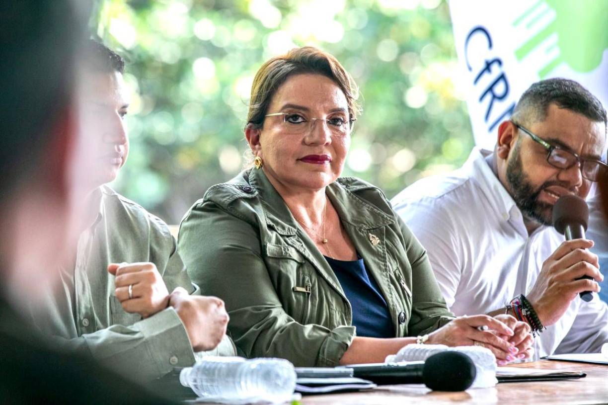 Honduras invertirá L19,000 millones para combatir la deforestación