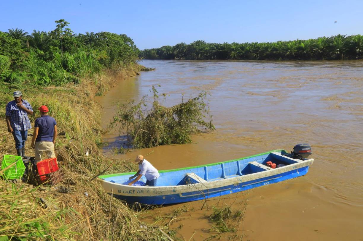 Agricultores deben usar lanchas para movilizarse entre las plantaciones afectadas.