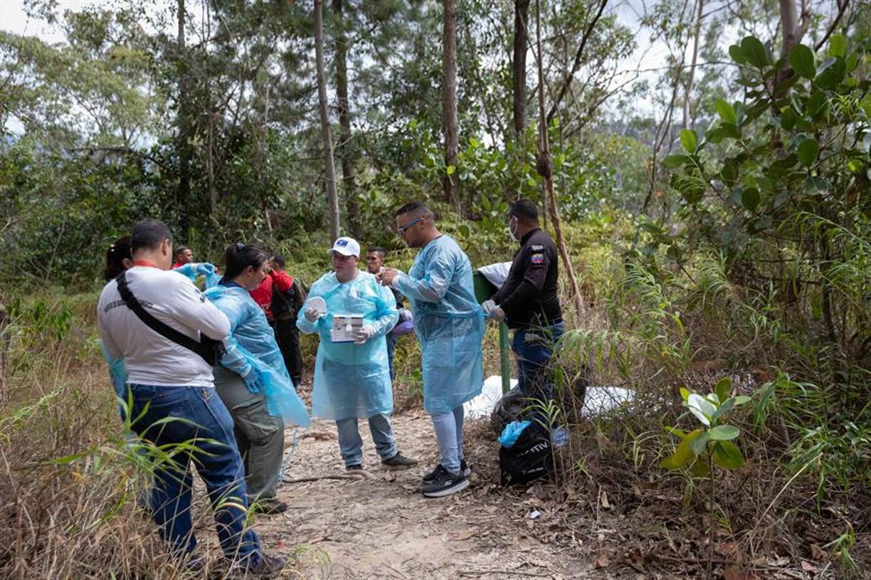 EFE constató que funcionarios de Protección Civil, bomberos, Policía Nacional Bolivariana y del Cuerpo de Investigaciones Científicas, Penales y Criminalísticas, que no permiten a los medios acceder al lugar exacto en el que se encuentra siniestrado el avión, se encuentran en la zona.