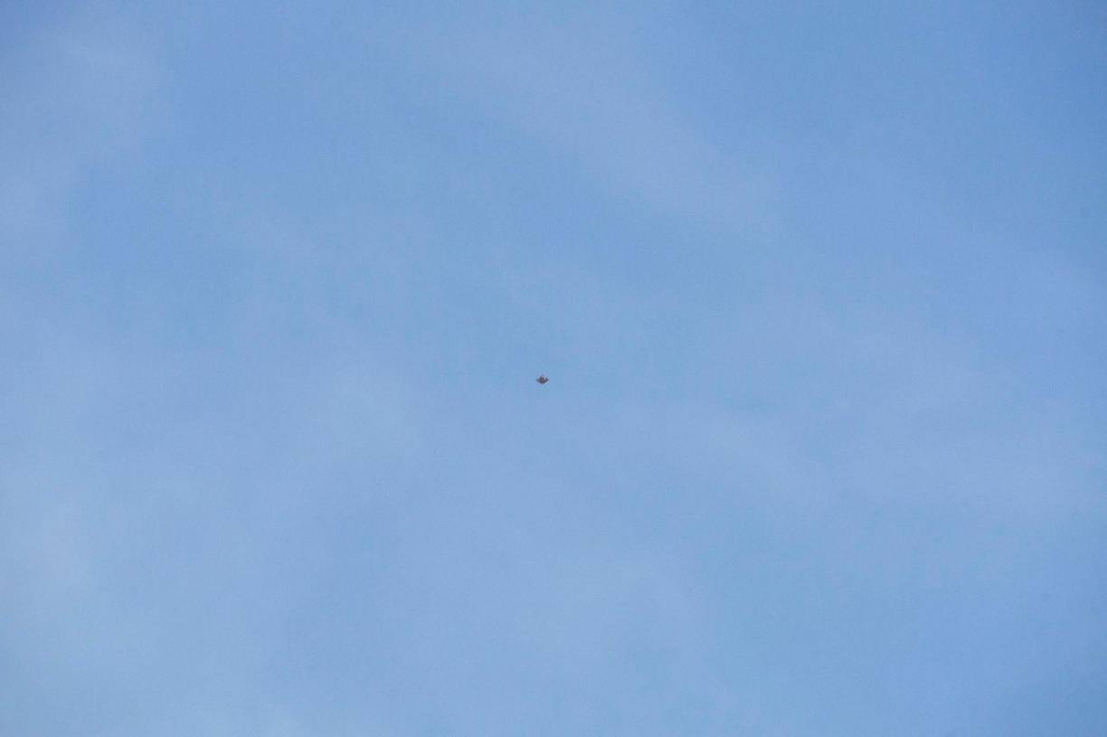 En él se incluyen los informes de avistamientos entre el 31 de agosto de 2022 al 30 de abril de 2023, así como cualquier informe avistamientos producidos en períodos anteriores que no se incluyeron en un informe anterior.