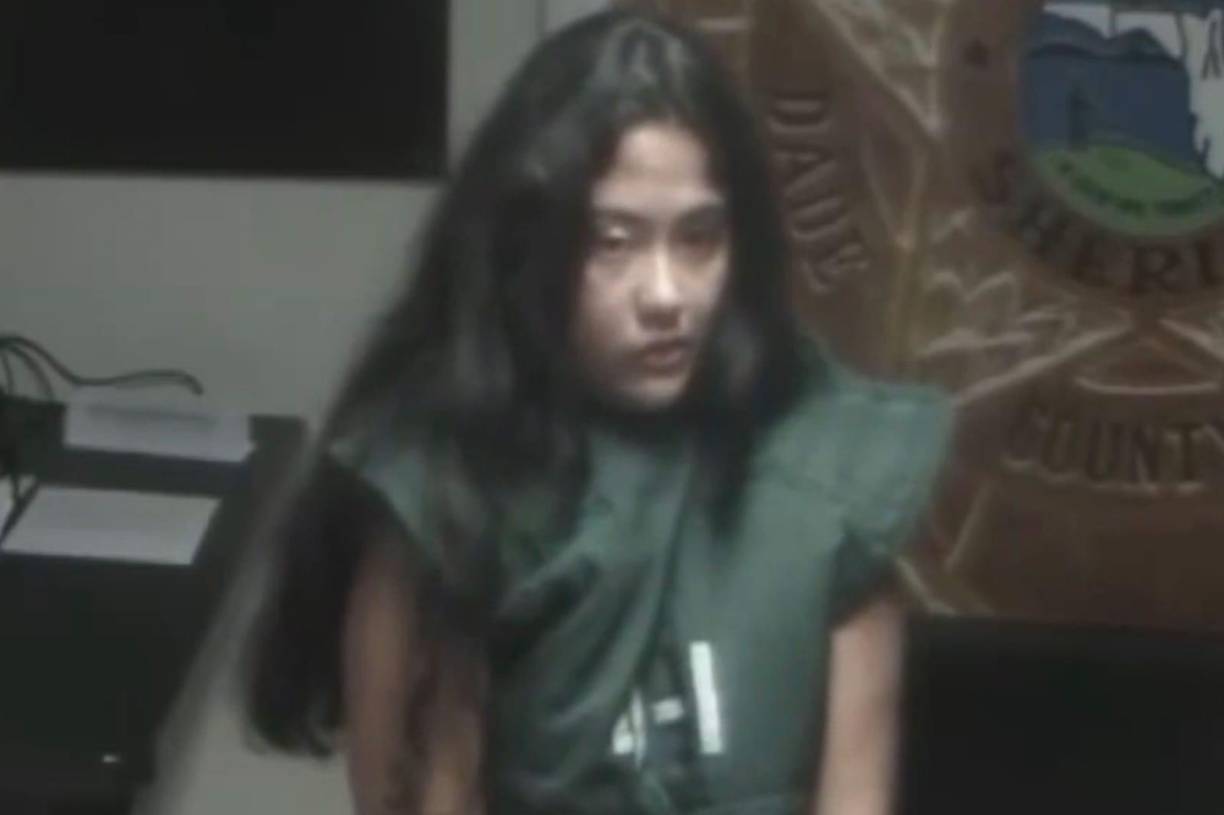 Según informes de la policía de Florida, Páez buscó en línea los servicios profesionales de asesinos a sueldo y llegó a un portal llamado RentAHitman. Creyendo en la oferta, la madre comenzó a llenar un formulario con la descripción de su pequeño hijo, proporcionando detalles precisos para facilitar su localización.