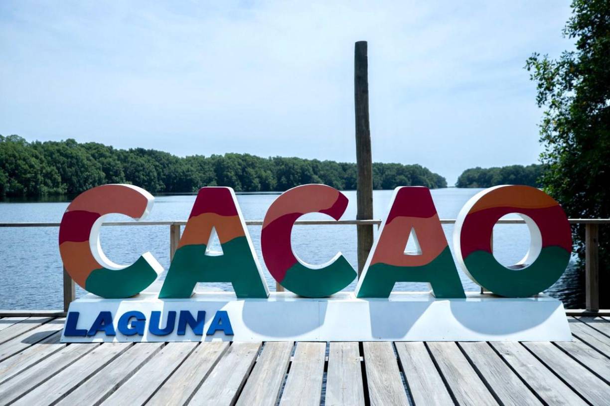 Honduras invertirá L19,000 millones para combatir la deforestación