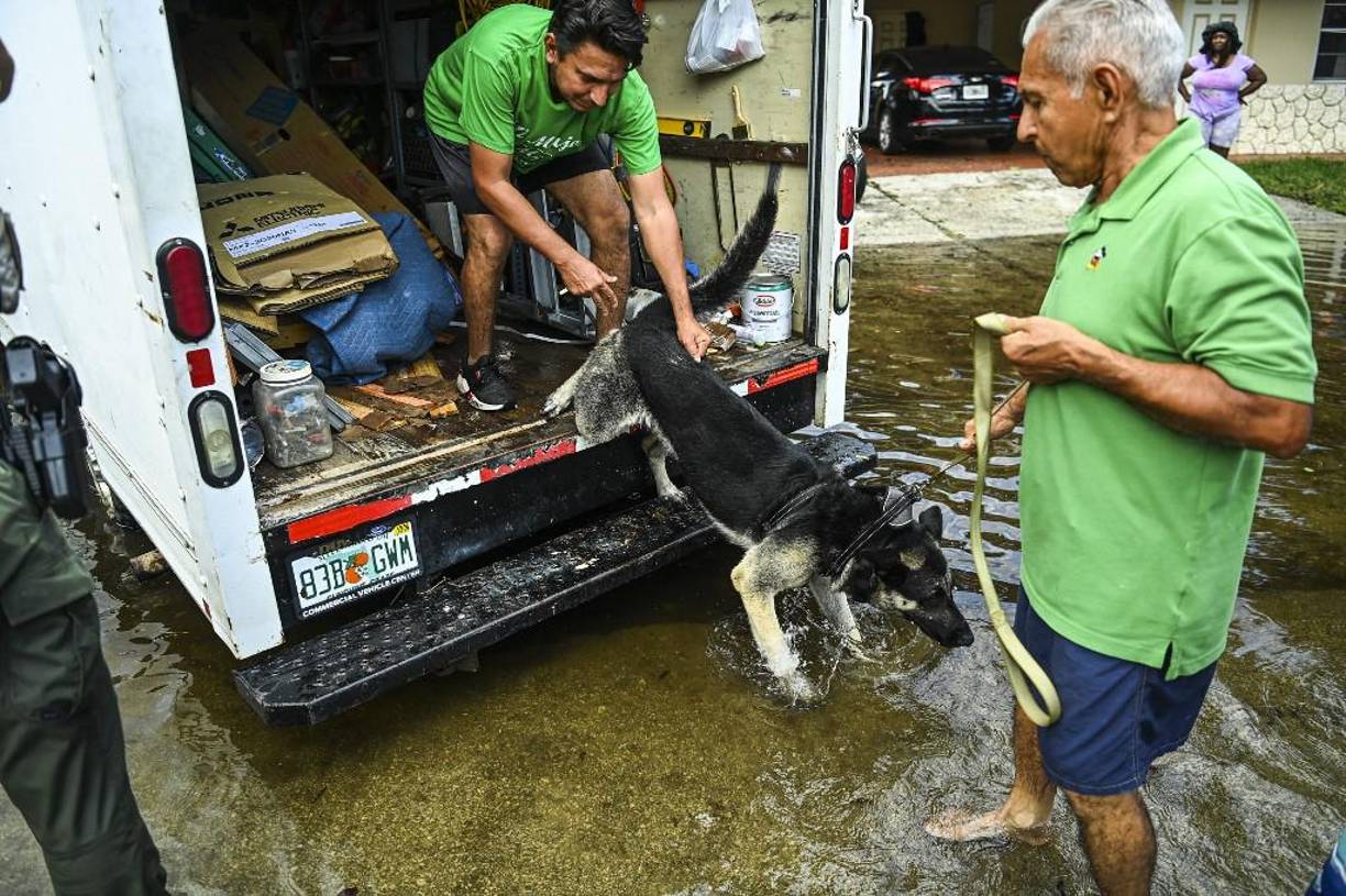 Las mascotas han sido puestas en resguardo también.