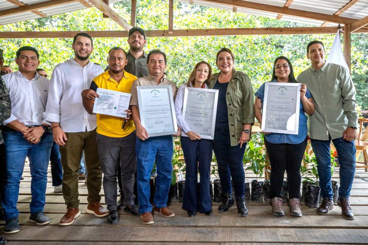 Cada año en el país centroamericano se pierden hasta 65.000 hectáreas de bosques por la deforestación, según cifras oficiales.