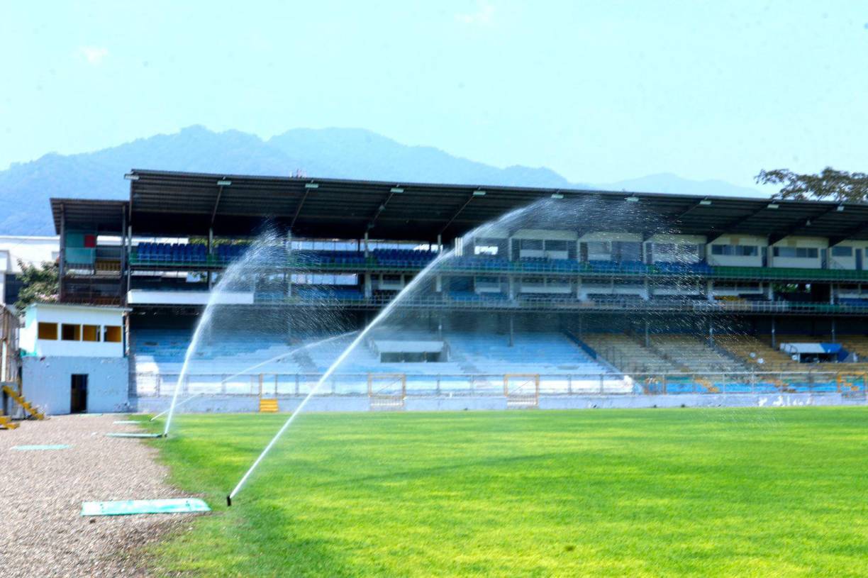 Esto debido a que se le impregnó al terreno con fertilizantes, pesticidas, nutrientes y un sistema de riego de día y de noche.