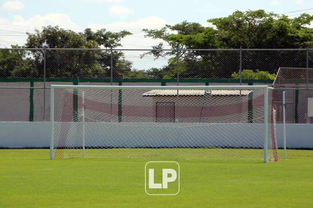 La grama ha estado siendo bien cuidada y tratada como se debe.