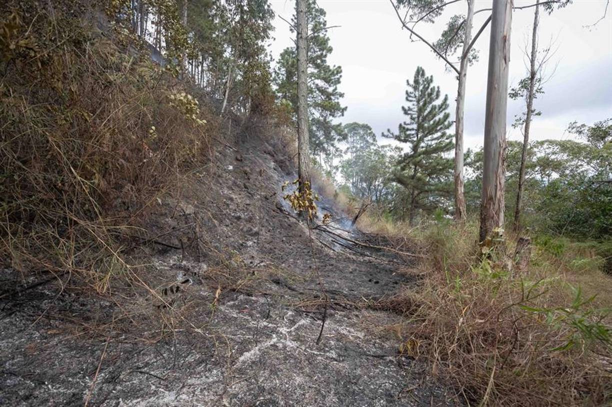 “Nos enluta y entristece la irreparable pérdida de estos valiosos profesionales militares, que en fiel cumplimiento de su deber, ofrendaron sus vidas en actos de servicio por la defensa integral de la nación”, agregó la FANB en un comunicado difundido en Telegram.