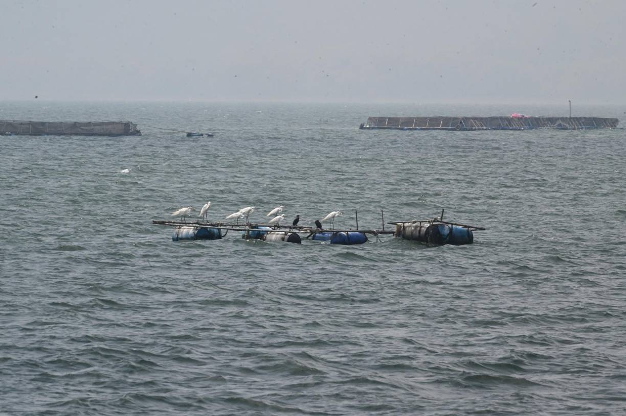 El director para América Latina y el Caribe de la Comisión Europea, Félix Fernández-Shaw, durante una visita al Lago de Yojoa, anunció que apoyarán al gobierno de Honduras para salvar esta reserva de agua dulce incrustada en tres departamentos.
