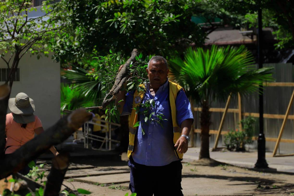 También podaron los arboles, este empleado recogió parte de las ramas.