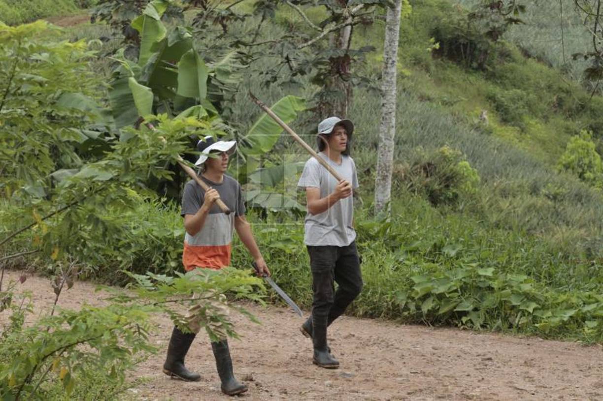 Francisco Martínez y su hermano han trabajado de forma ardua desde niño.