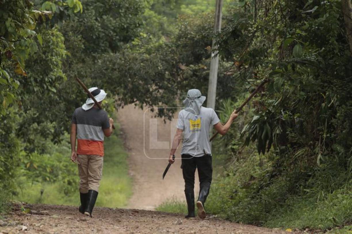 Un día con Francisco Martínez en su aldea: El trabajo en las piñeras, su familia y el regalo que recibió por un crítico