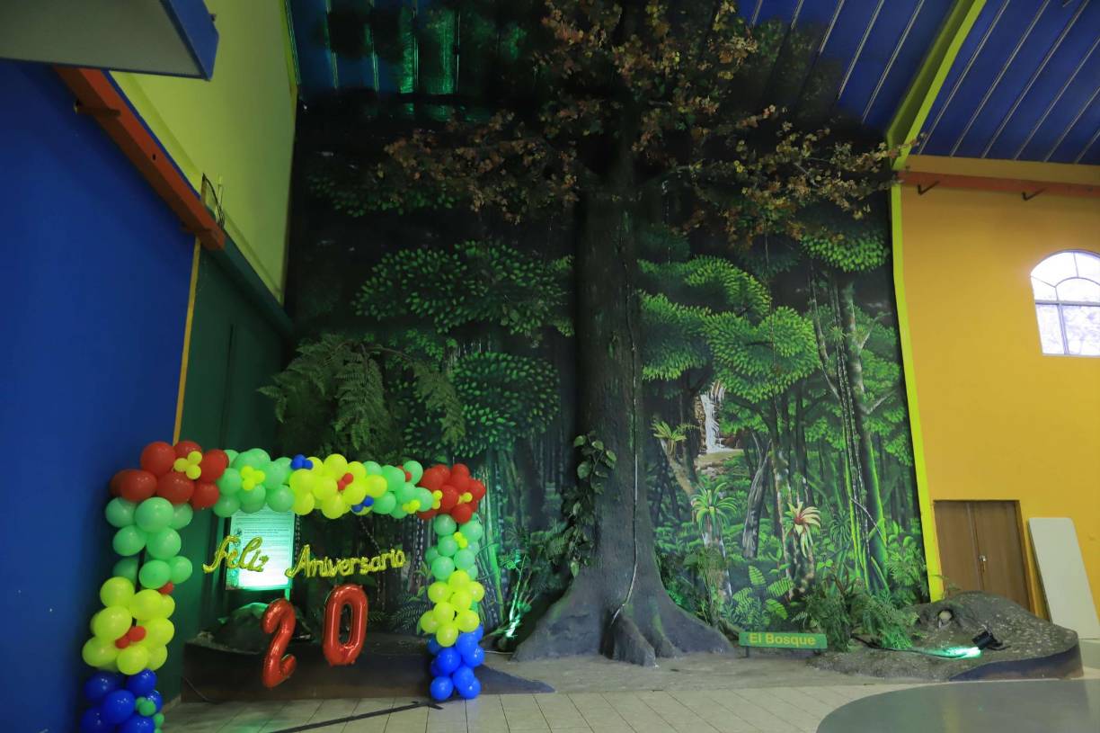 Museo para la infancia El pequeño de Sula, 20 años a favor de la infancia