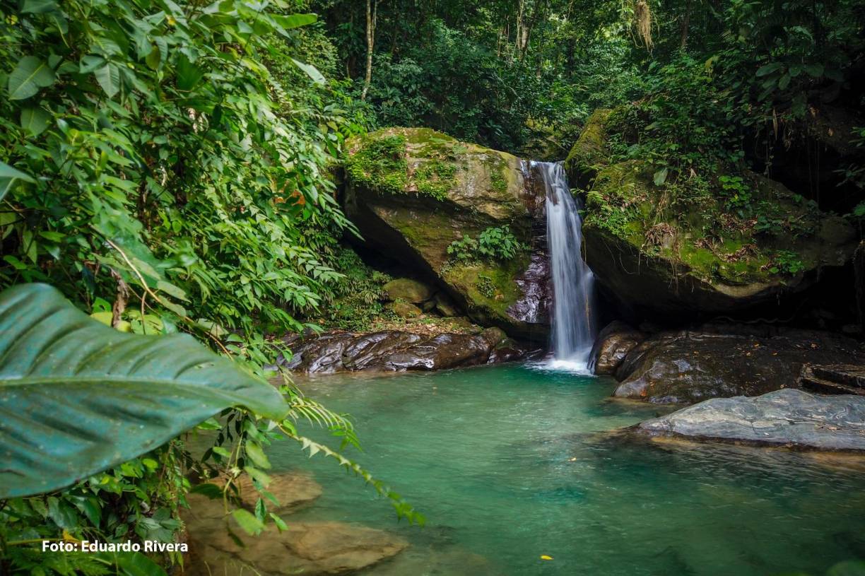 <b>La observación de aves es una actividad con impacto positivo significativo en el plano social, ambiental y económico en las comunidades anfitrionas, contribuyendo al bienestar humano, la conservación de la naturaleza y el desarrollo económico sostenible.</b>