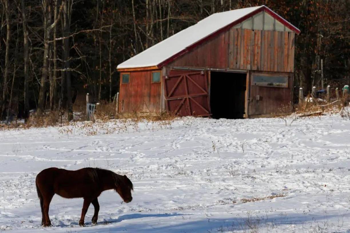 El gobernador de Nueva Jersey, Phil Murphy, era el último en sumarse hoy a las declaraciones del estado de emergencia para movilizar recursos de cara a las próximas horas, y dijo que se esperan al menos 15 centímetros de nieve en los condados situados al sur. 