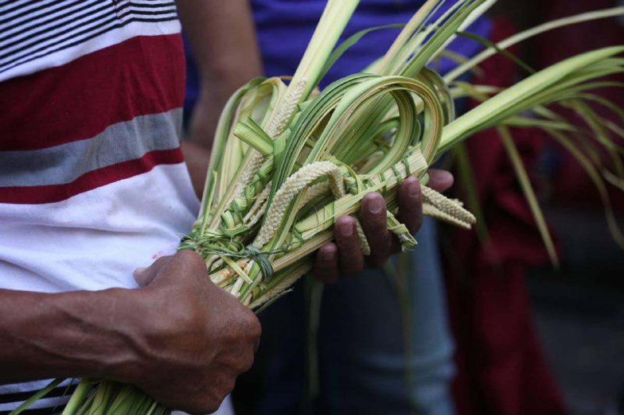 Católicos recibieron la bendición de Dios en el Domingo de Ramos