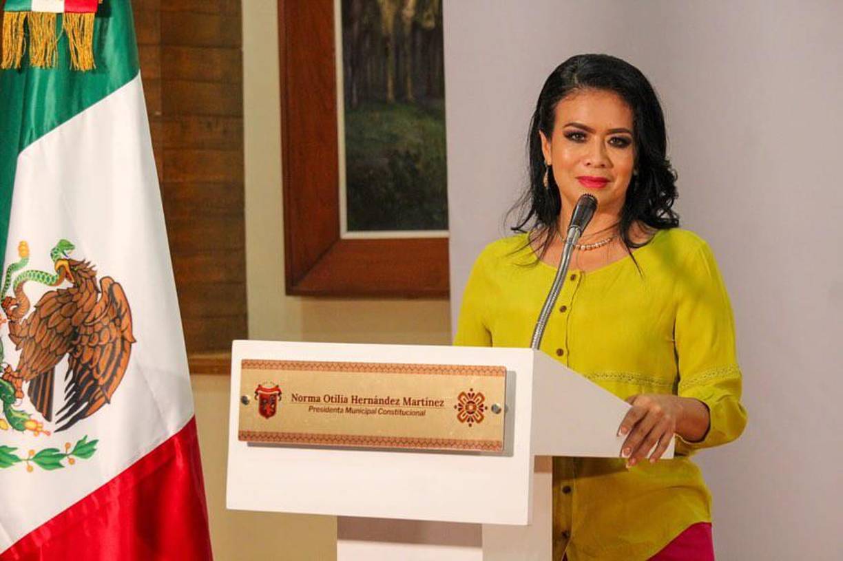 La polémica surgió a raíz de la confirmación de una reunión entre Hernández Martínez y Celso Ortega Jiménez, alias ‘La Vela’ o ‘El Ardilla’, líder del grupo delictivo ‘Los Ardillos’. Este grupo es señalado como uno de los principales generadores de violencia en la región de La Montaña, Guerrero.