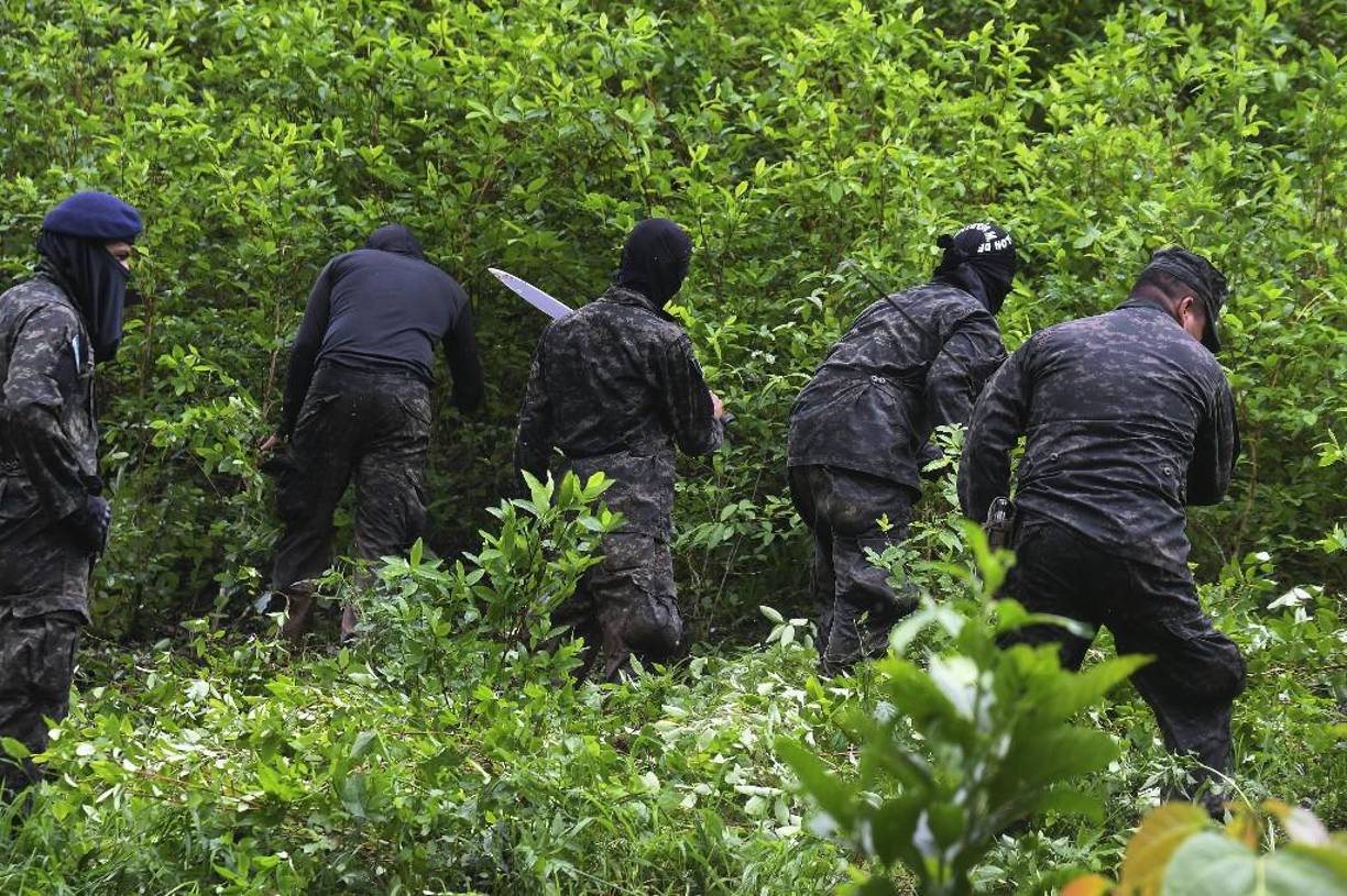 Se destaca el apoyo que han prestado las Fuerzas Armadas, a través de la Fuerza Aérea Hondureña (FAH), Fuerza de Tarea Xatruch, entre otras unidades militares que participan en estas operaciones antidrogas.