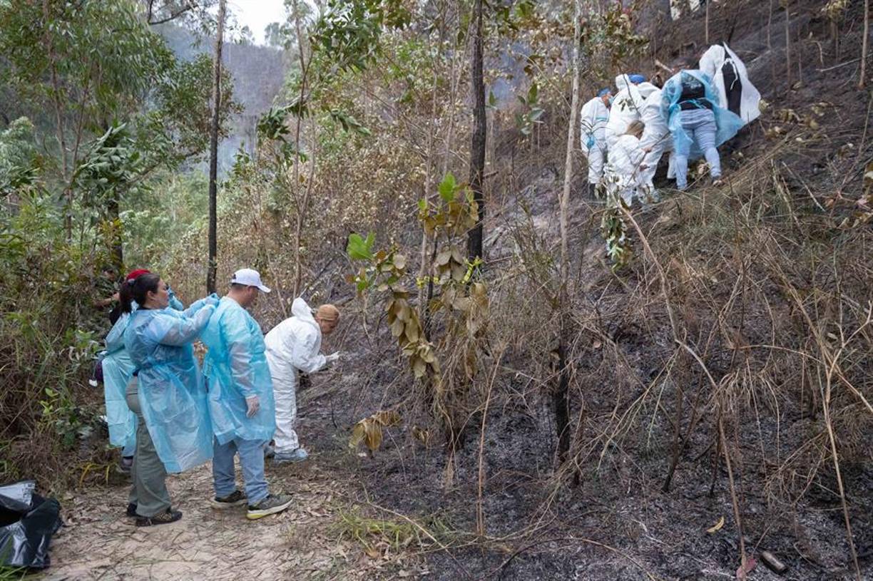 En abril del año pasado, cinco personas fallecieron y otras cuatro resultaron heridas luego de un aterrizaje forzoso de una aeronave en el norte de Venezuela, según informó el entonces viceministro para la Gestión de Riesgo y Protección Civil, Carlos Pérez Ampueda.