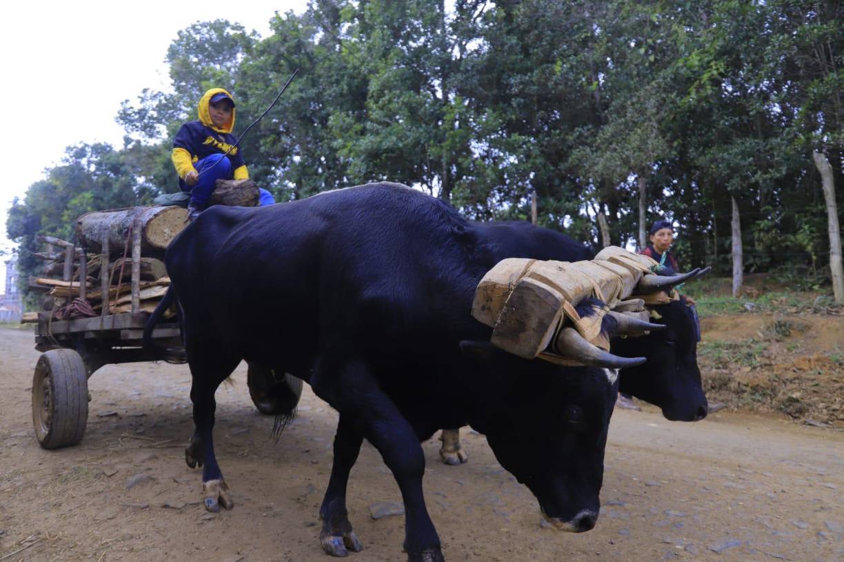Frío obliga a intibucanos a sacar sus suéteres