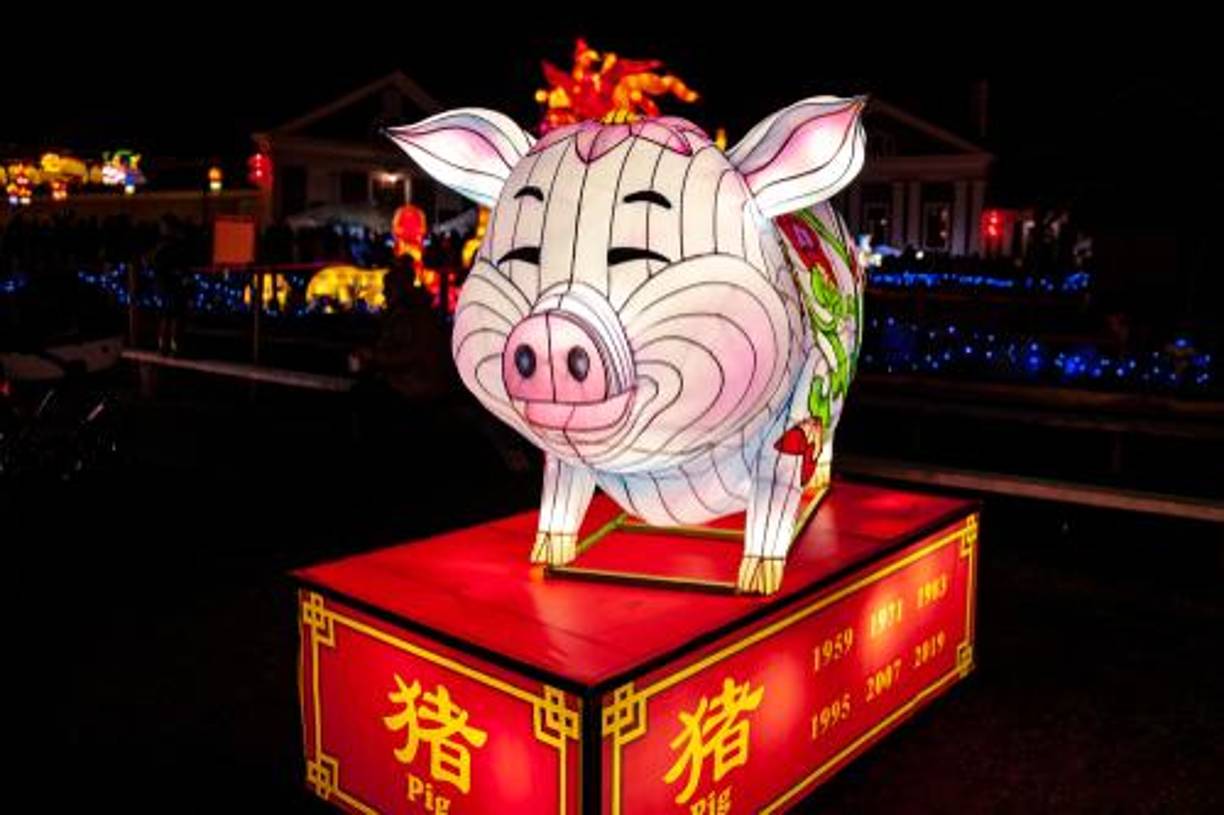 Cerdo (nacidos en 1947, 1959, 1971, 1983, 1995, 2007, 2019): Enfrentarán a Tai Sui, lo que traerá cambios y transformaciones. Se recomienda mantenerse ocupados y aprovechar las oportunidades financieras.Rata (nacidos en 1948, 1960, 1972, 1984, 1996, 2008, 2020): Disfrutarán de éxito financiero y buenas oportunidades laborales, especialmente en la primera mitad del año.Buey (nacidos en 1949, 1961, 1973, 1985, 1997, 2009, 2021): Año complementario con el elemento fuego de la Serpiente. Disfrutarán de compañerismo y amistad, pero deben ser cautelosos con las finanzas.