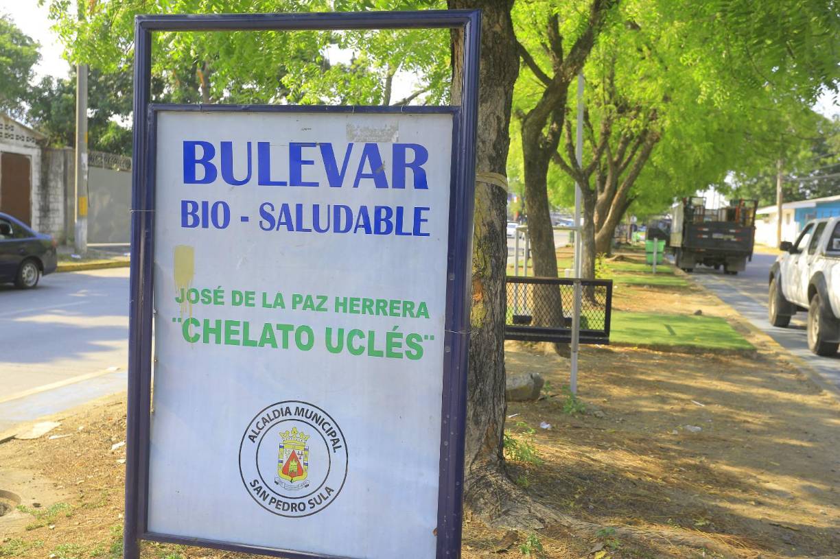 Estos parques o bulevares fueron acondicionados con máquinas como parte del programa de recuperación de espacios públicos. ESte parque que vemos en la imagen es en barrio Las Palmas.