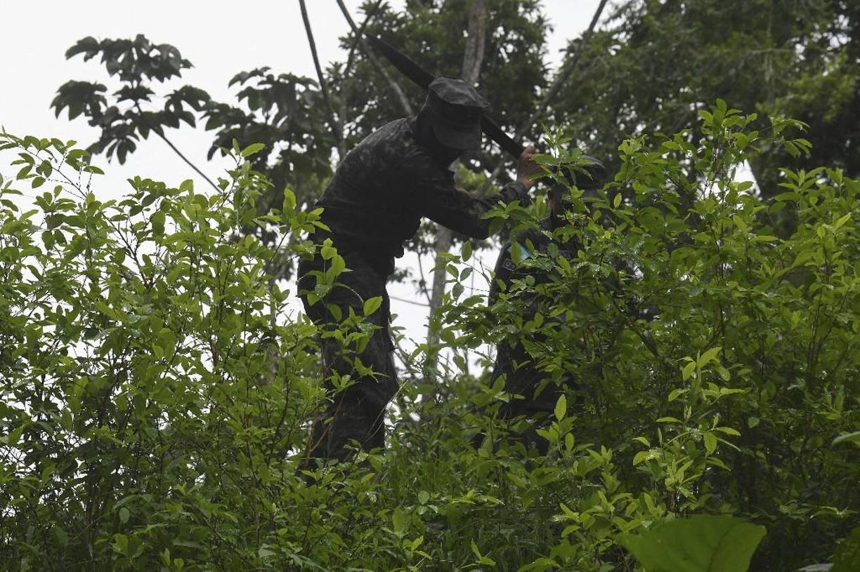 Por su posición geográfica, el territorio hondureño es utilizado por narcotraficantes internacionales que envían cargamentos, especialmente de cocaína, a Estados Unidos, en avionetas y embarcaciones rápidas que navegan por el Caribe.