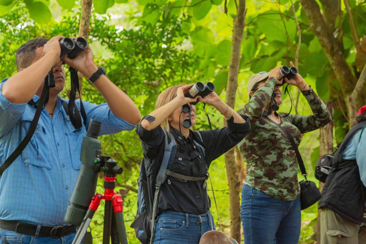 <b>Mientras disfrutan de un pasatiempo sano, los participantes del festival, aprenderán a través de en tres charlas, un panel y un conversatorio, sobre la importancia del Parque Nacional Omoa y el Refugio de Vida Silvestre Cuyamel.</b>