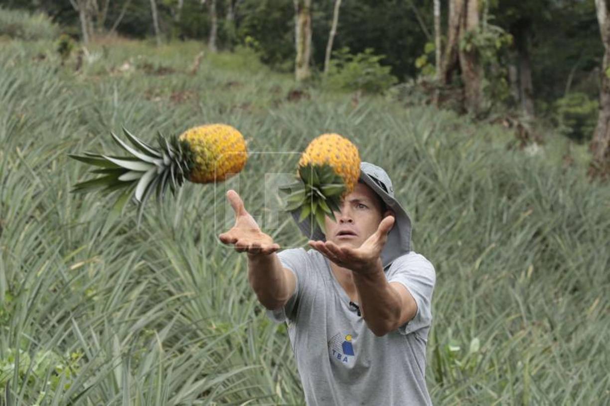 “Creo que ahorita nos vamos a despedir de las piñeras, dejaremos gente que las esté viendo ya que uno no debe de olvidar sus orígenes”, nos señaló Francisco Martínez.