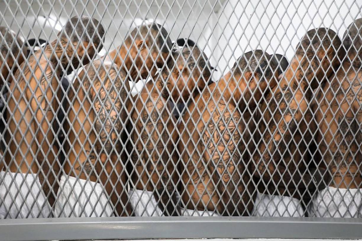  Luego, con sus manos esposadas en la espalda, son subidos en autobuses y trasladados bajo fuertes medidas de seguridad que incluyeron sobrevuelo de varios helicópteros militares sobre el CECOT, a donde llegaron al amanecer. 