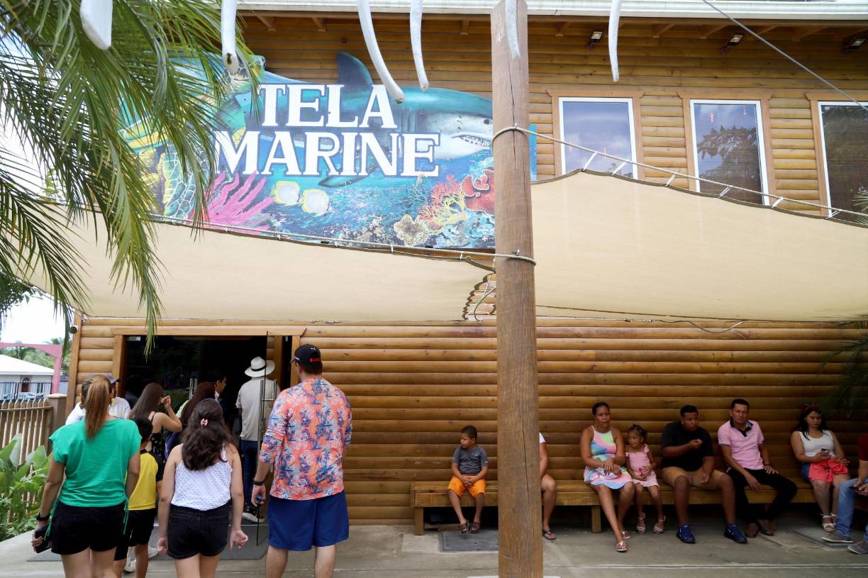 El Acuario Marino está abierto de 10:00 a.m. a 5:00 p.m. de lunes a domingo. Cada año es visitado por unos 165 mil turistas entre nacionales y extranjeros. También lo visitan al año unos 13, 500 estudiantes de educación primaria y 3,500 universitarios. 