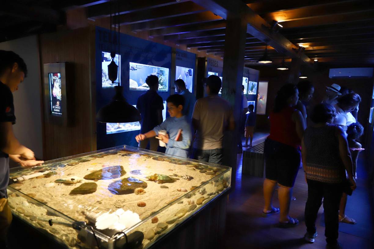 Los turistas pueden hacer imagenes y videos en el acuario para llevarse un recuerdo del atractivo lugar. 