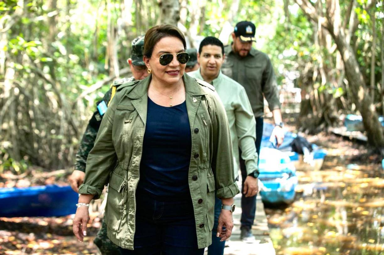 Honduras invertirá L19,000 millones para combatir la deforestación