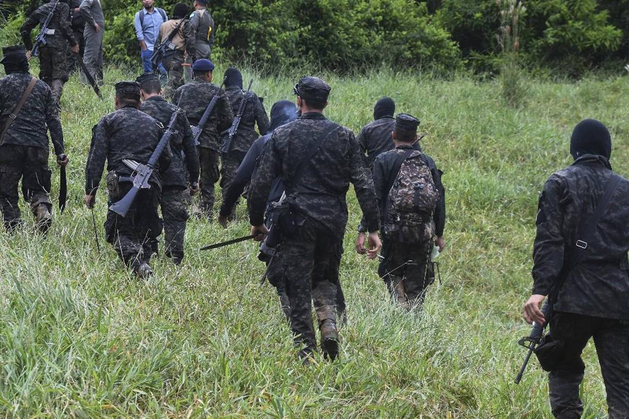 En la parcela número dos, con una extensión de tierra de dos manzanas, en las cuales habían sembrado 13 mil plantas de marihuana, para ser un total de tres manzanas de terreno con 19 mil plantas de marihuana.