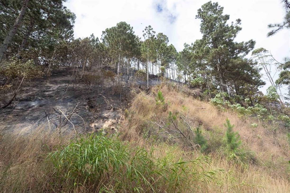 Los habitantes del sector reportaron en redes sociales haber escuchado un “fuerte golpe”, al tiempo que informaron de un incendio en la montaña conocida como El Volcán.