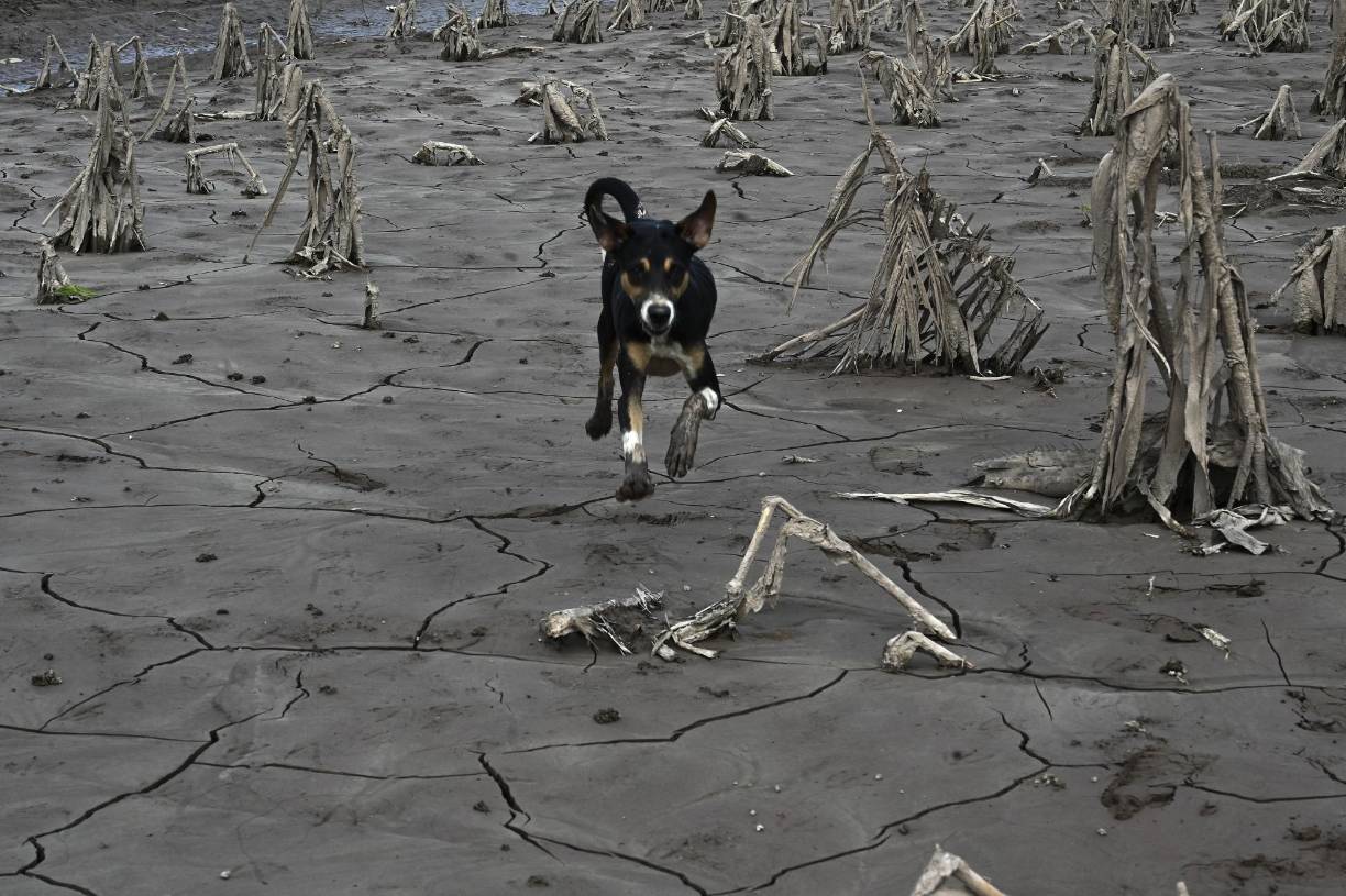 Las bandas de lluvia desbordaron los caudalosos ríos Ulúa y Chamelecón, provocando los mayores daños en el Valle de Sula, al norte de <b>Honduras</b>, la zona más vulnerable ante los fenómenos climáticos. Según entes estatales, Julia dejó medio centenar de muertos en los cuatro países, así como miles de hectáreas de cultivos dañados.