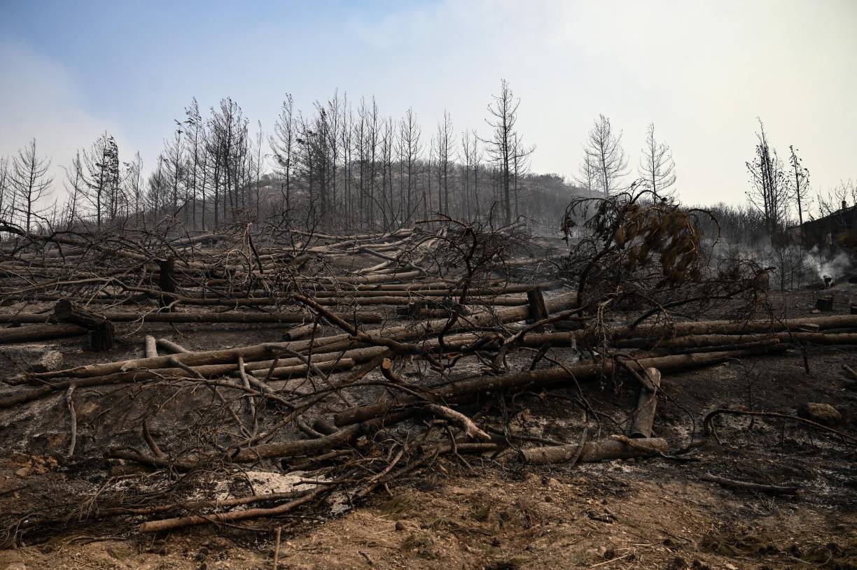 Seis países decidieron enviar ayuda por medio del mecanismo de protección civil de la UE.