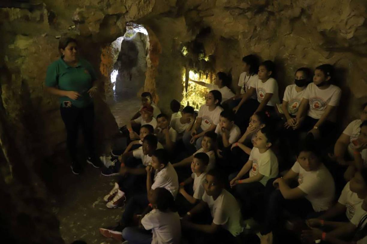 La Caverna: Una visita a las profundidades de la tierra para aprender cómo se forman las cavernas, lo que ocurre en su interior y los animales que las habitan.