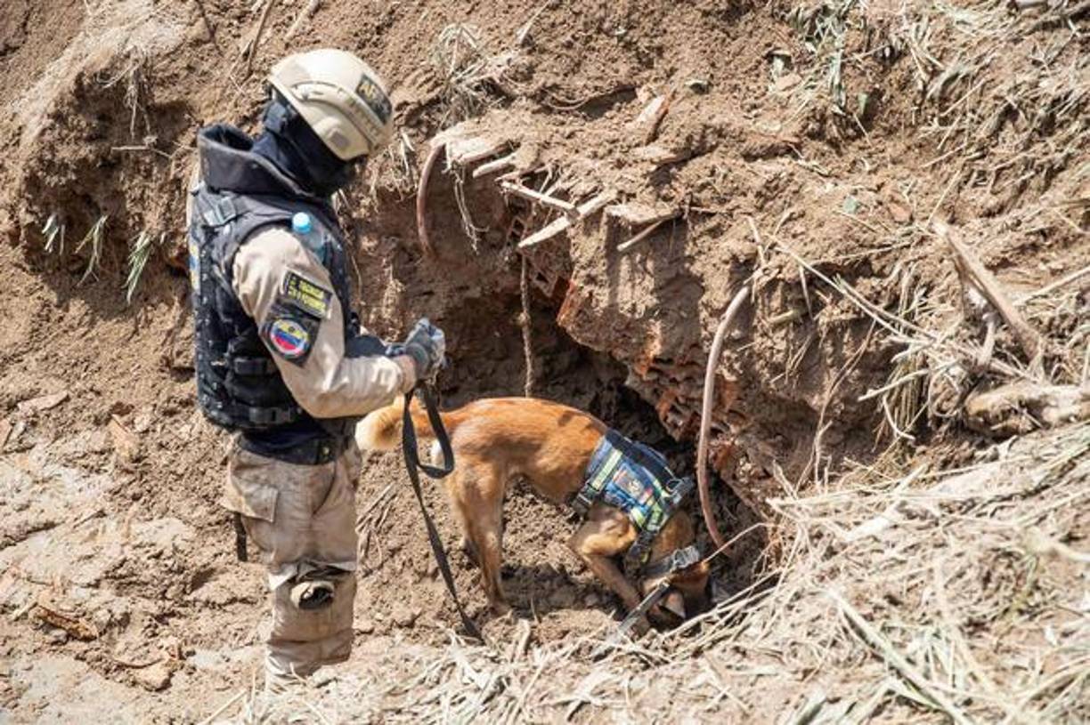 Son víctimas de deslaves e inundaciones causados por fuertes lluvias en Las Tejerías, un pueblo del estado Aragua (centro) donde se vive el peor desastre natural registrado en Venezuela en dos décadas y que ha dejado un centenar de muertos.