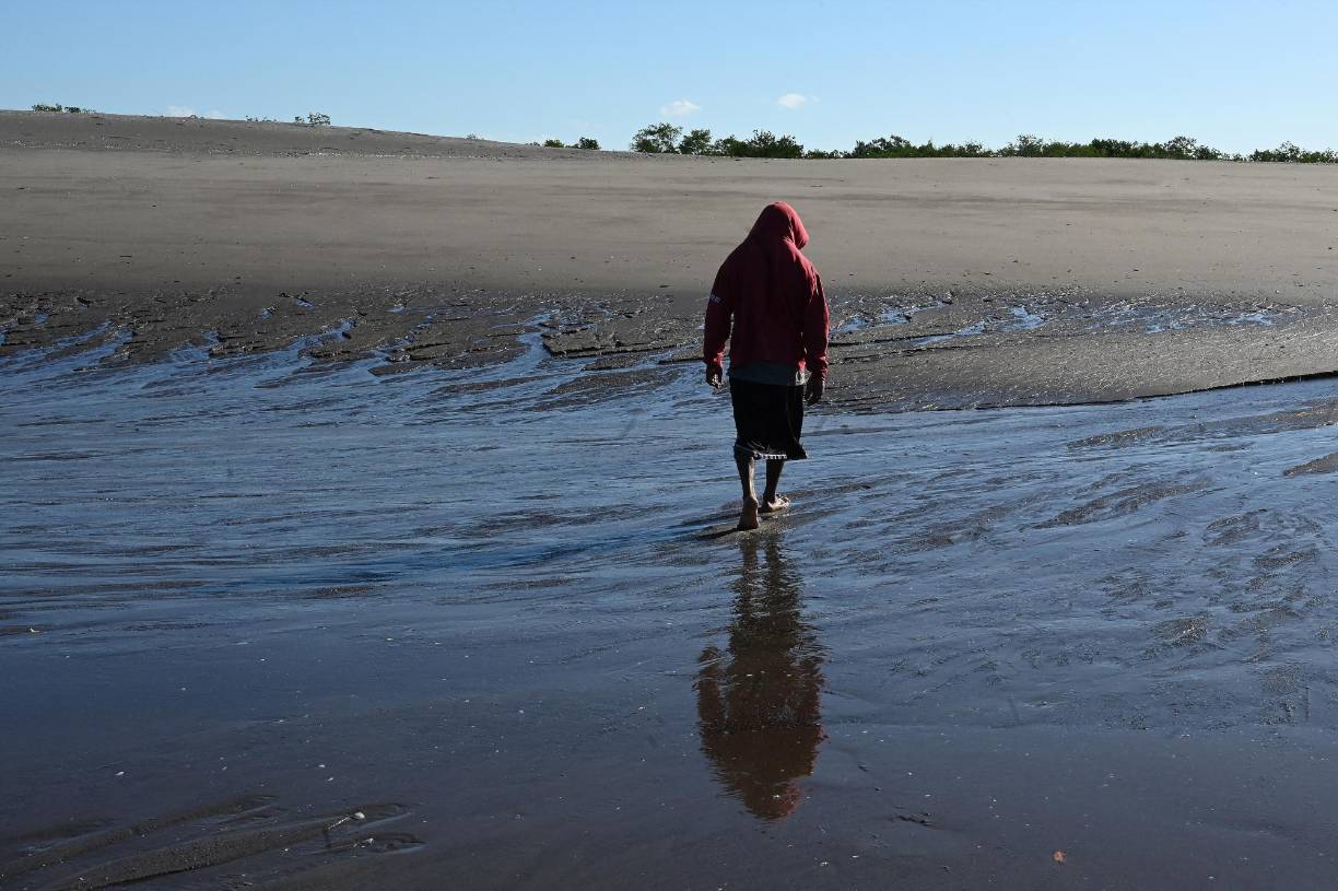 Los habitantes de Cedeño son testigos de cómo desaparecen las especies de crustáceos y moluscos, cuyo hábitat está en las raíces de los bosques de mangle.