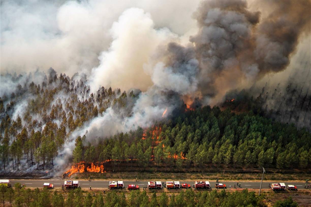 Una cifra que va en aumento porque desde el pasado sábado un incendio ha calcinado ya más de 10.000 hectáreas en el parque natural de Serra da Estrela, en el centro de Portugal y a escasos 50 kilómetros de la frontera con España.