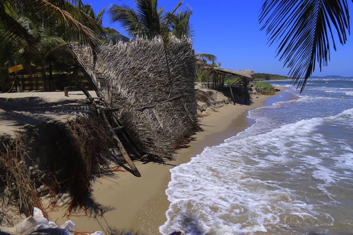 Otra vista de las champas hechas con troncos y manacas. Muchos no quisieron volverlas a poner en pie hasta que el mar retrocediera. A las puertas del Feriado Morazánico, ya se contempla volverlas a construir para recibir a los visitantes, que esperan que lleguen, si el clima lo permite.