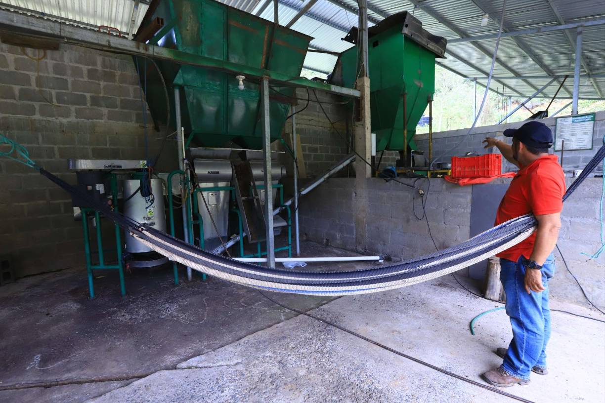 Al estar tan lejos de la ciudad, el único medio de comunicación al que tenía acceso era la radio, y fue justamente en el programa radial “La Hora del Café” donde escuchó por primera vez acerca de la Taza de Excelencia.