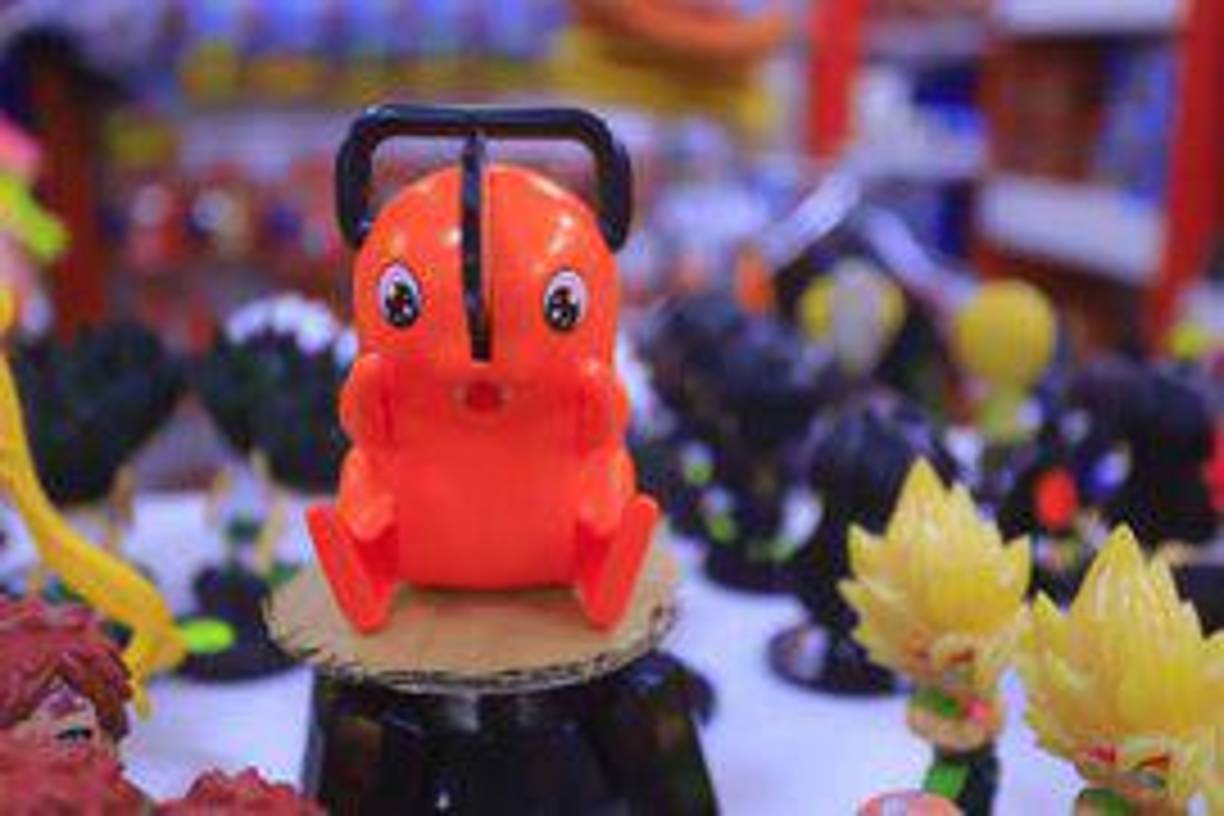 La gente comúnmente cree que las figuras solo son para niños, pero esta es una pasión entre personas de todas las edades y ambos sexos. 