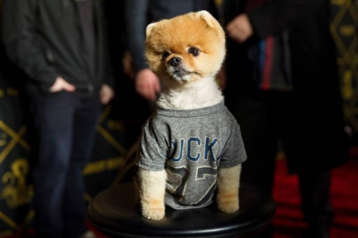 Jiffpom.