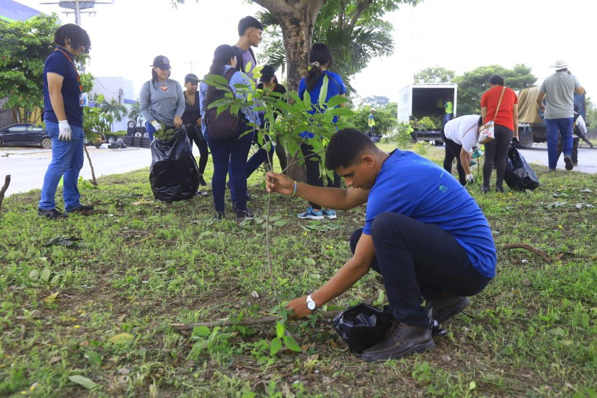 <b>Sembrando Esperanza</b> de <b>LA PRENSA</b> inició este día con una jornada de limpieza sobre el <b>bulevar</b> y las orillas de la <b>33 calle</b>. La Municipalidad de San Pedro Sula también se unió a esta gran actividad.