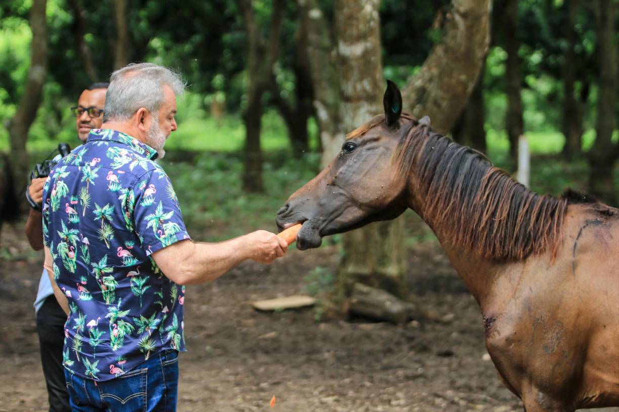 “No vamos a permitir que sigan dañando a los pobres animalitos”, dijo Contreras.
