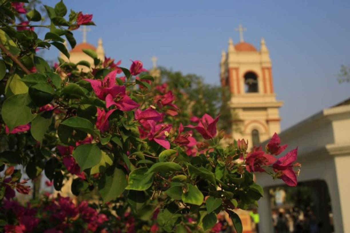 Los napoleones adornan también en el parque central.