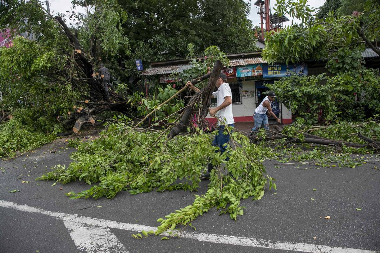 Personas retiran hoy unos arboles caídos tras el paso de la tormenta tropical Julia, en la ciudad de Bluefields (Nicaragua).